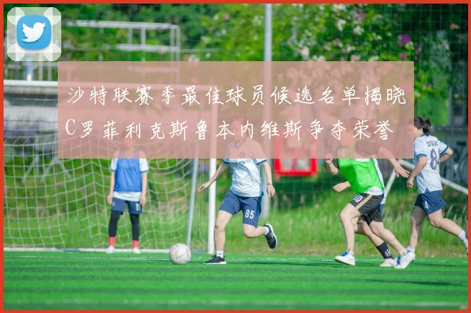 沙特联赛季最佳球员候选名单揭晓C罗菲利克斯鲁本内维斯争夺荣誉