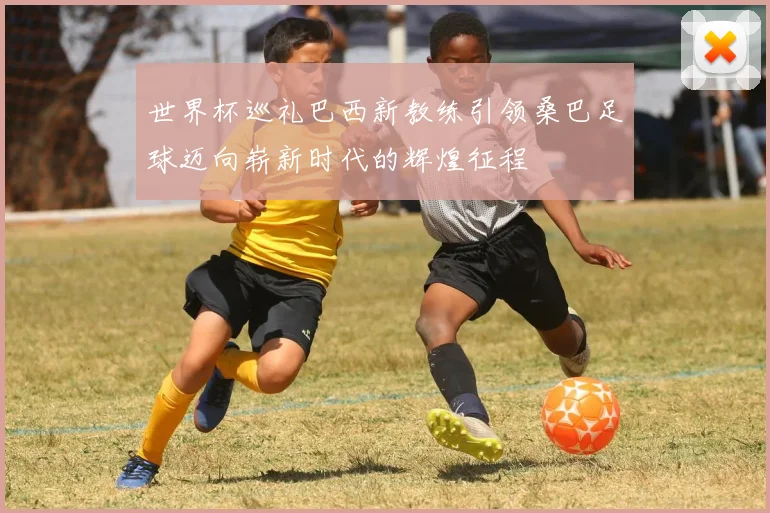 世界杯巡礼巴西新教练引领桑巴足球迈向崭新时代的辉煌征程